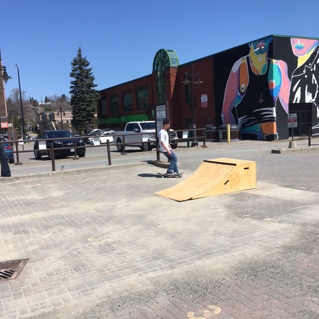 Skate installation with Skater