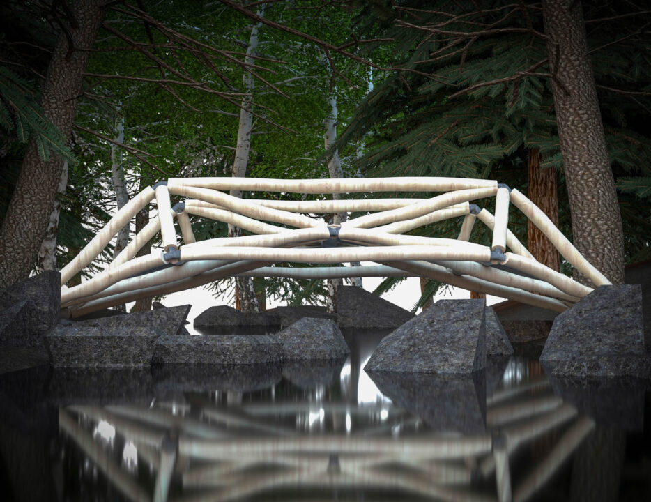 Exterior render of a student designed bridge over a stream in a forest