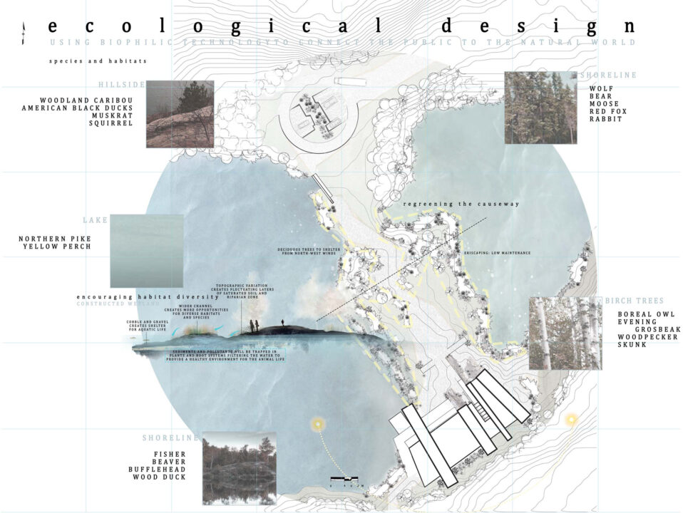 Collaged drawing of a lake with photographed images from the site overlaid