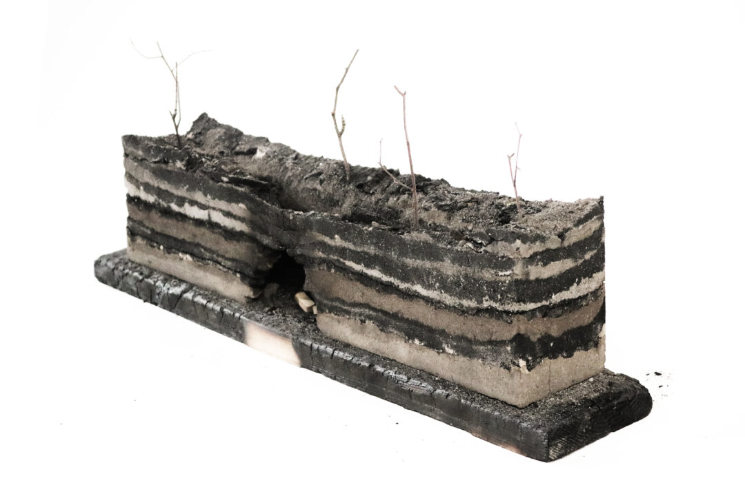 Photograph of a student model of a wall made of ash