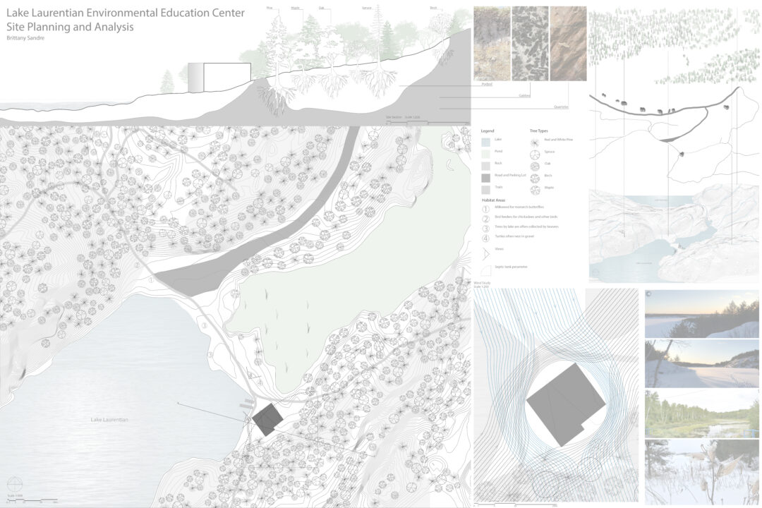 Poster entitled site analysis and planning with multiple site drawings done by student, as well as photographs of a wooded site