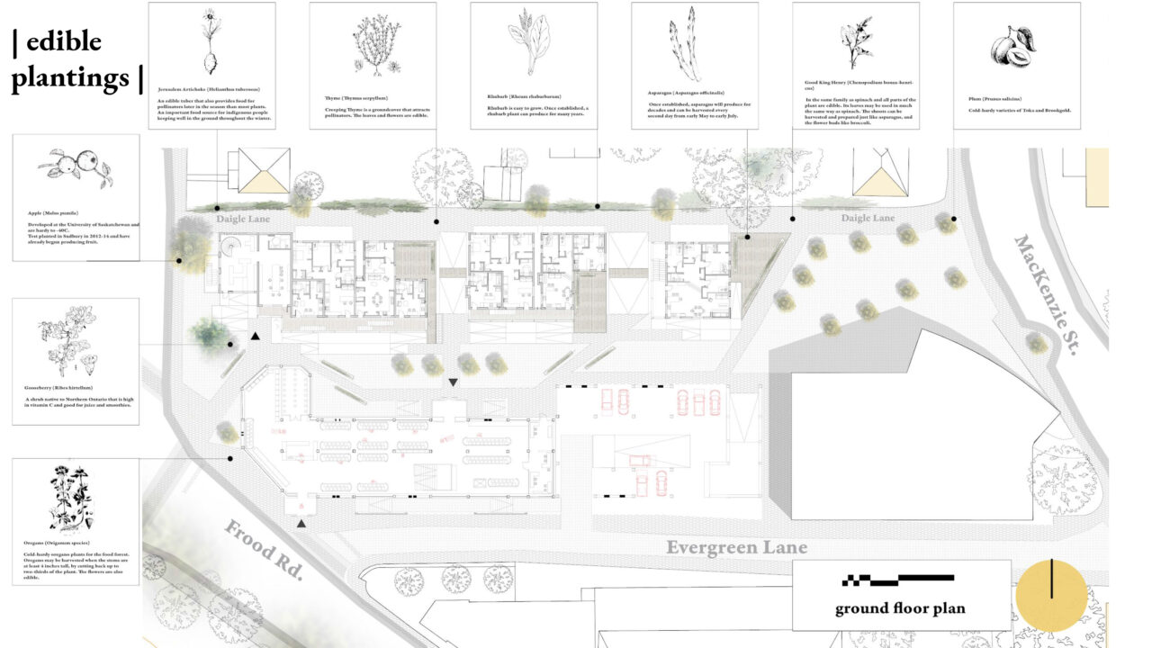 Site plan with diagrams of edible plants around it