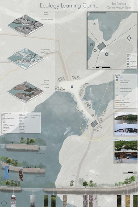 Poster with a site plan and analysis, along with photographs of a wooden site on a lake
