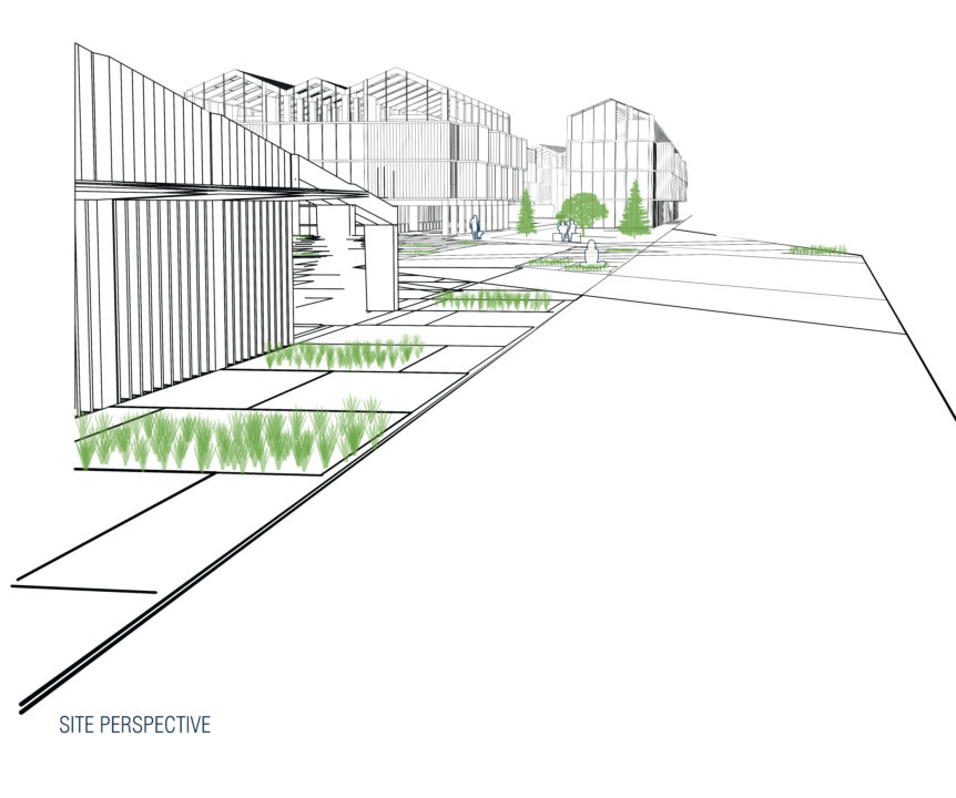 Site perspective drawing of student designed buildings