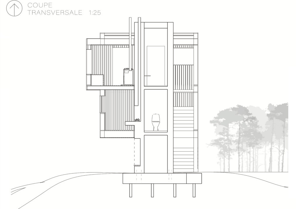 Section of the student designed building showing the interior spaces and vertical circulation