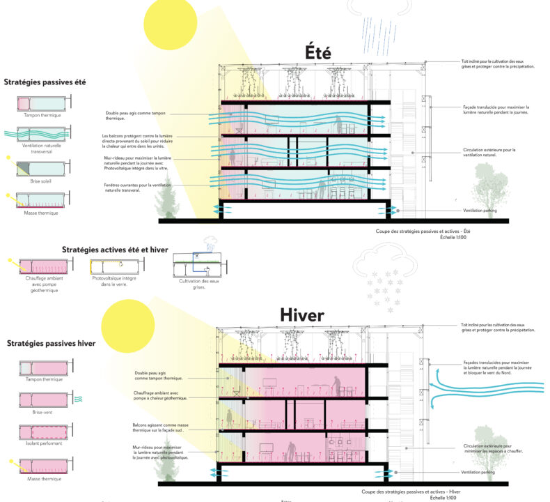 Summer and winter section showing passive design diagrams of a student designed multi story buildings