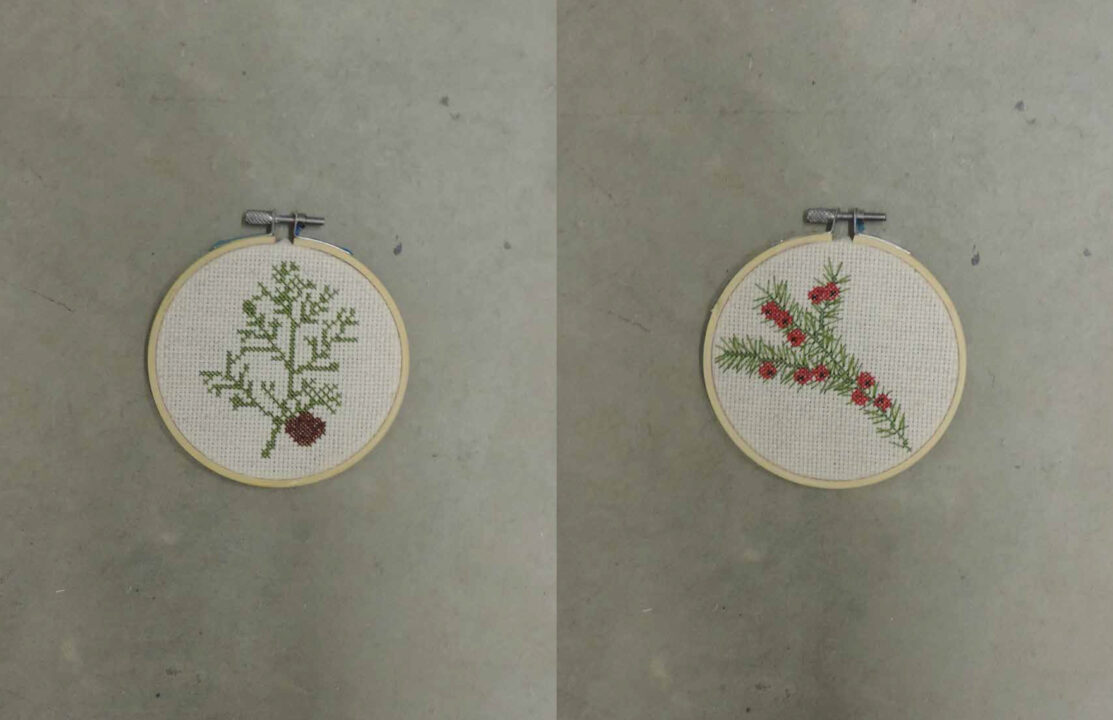 Photograph of two embroidery circles of green branches with red flowers