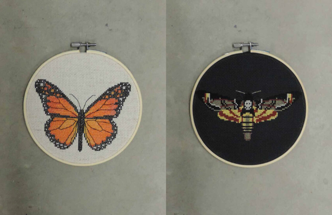 Two photographs of a monarch butterfly on a white background and a moth on a black background