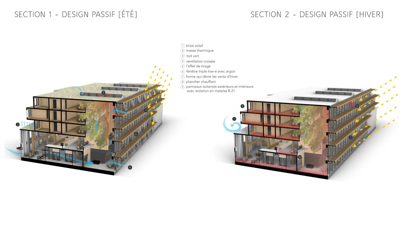 Passive design perspective sections of a student designed building
