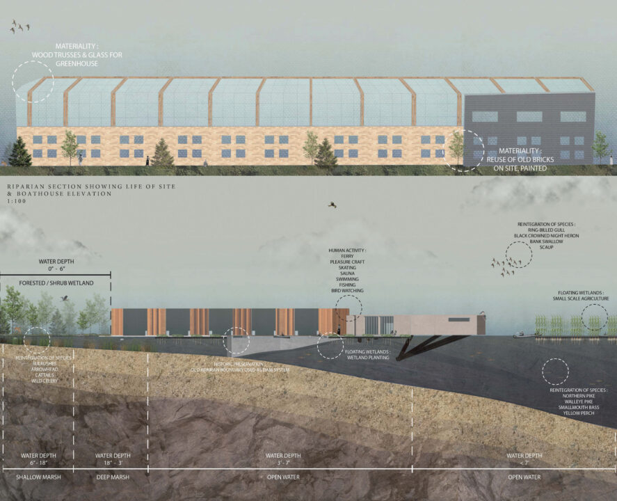 Poster with two site elevation showing student designed buildings and its' surrounding context