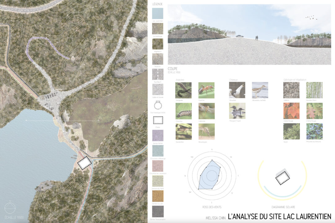 Poster with a site plan, longitudinal section and photographs for site analysis