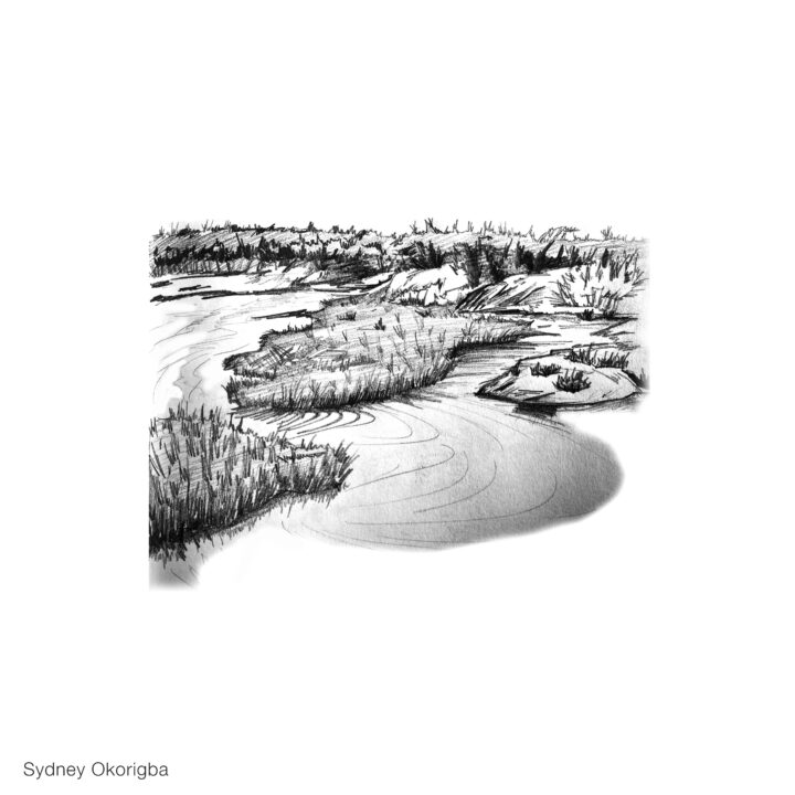 Sketch of Bennett Lake by Sydney Okorigba
