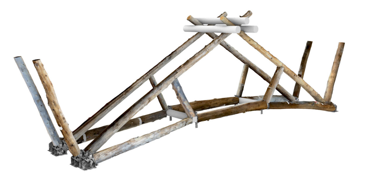 Image des rondins scannés utilisés dans la structure du pont